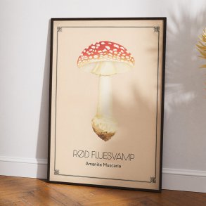 Rd fluesvamp - Anskuelsestavle