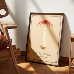 Rd fluesvamp - Anskuelsestavle