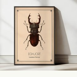 Eghjort - Anskuelsestavle