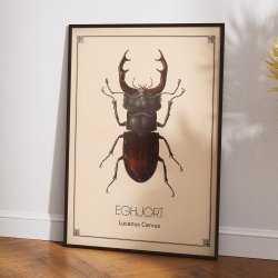 Eghjort - Anskuelsestavle