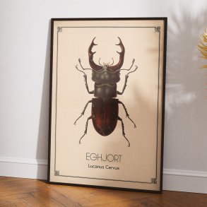 Eghjort - Anskuelsestavle