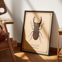 Eghjort - Anskuelsestavle