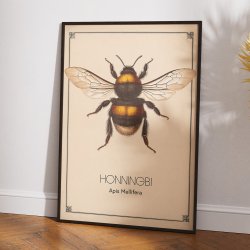 Honningbi - Anskuelsestavle