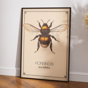 Honningbi - Anskuelsestavle