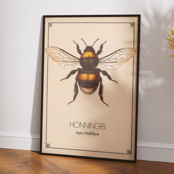Honningbi - Anskuelsestavle