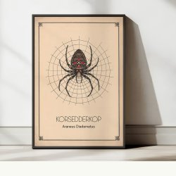 Korsedderkop - Anskuelsestavle