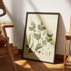 Mark-rten 1883 - Flora Danica