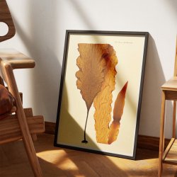 Alger 1836 - Flora Danica