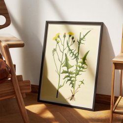 Torig Hgeskg 1830 - Flora Danica