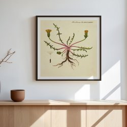 Mlkebtte 1829 - Flora Danica