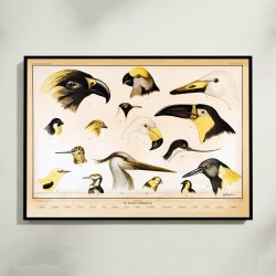 Fuglenb 1961 - Zoologi