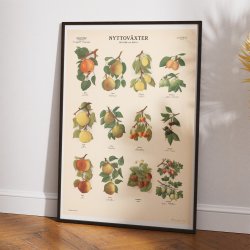 Frugter og br II 1956 - Botanik