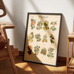 Frugter og br II 1956 - Botanik