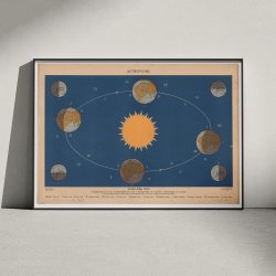 Jordens rlige bevgelse 1950 - Astronomi