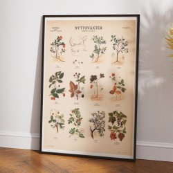 Frugter og br 1956 - Botanik