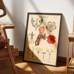 Blomsten og bien 1950 - Botanik