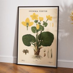 Engkabbeleje 1939 - Botanik