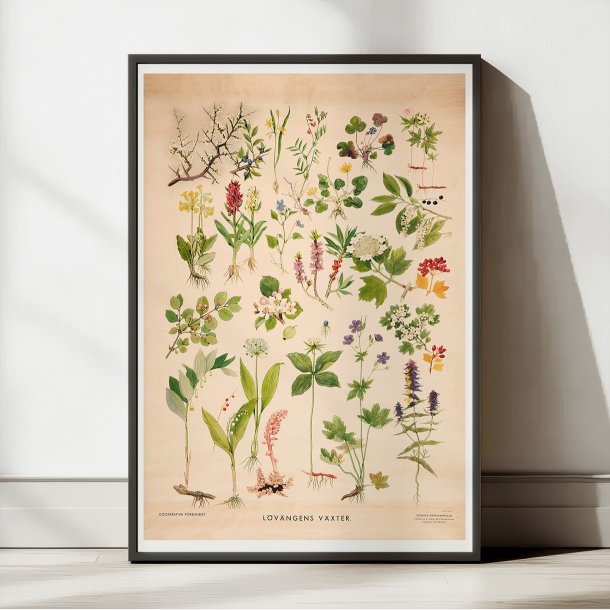 Lvengens vkster 1940 - Botanik