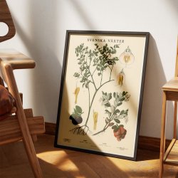 Blbr og tyttebr 1939 - Botanik