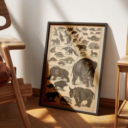 Pungdyr, gnavere og tykhuder 1890 - Zoologi