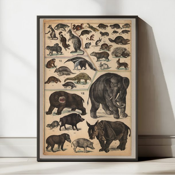 Pungdyr, gnavere og tykhuder 1890 - Zoologi