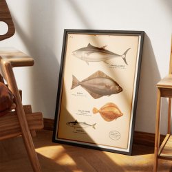 Fiskeplanche 1957 - Zoologi