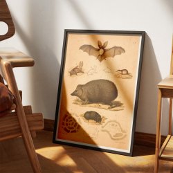 Pindsvin, flagermus, muldvarp &amp; mus 1889 - Zoologi