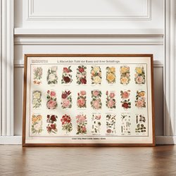 Roser og skadedyr 1909 - Botanik