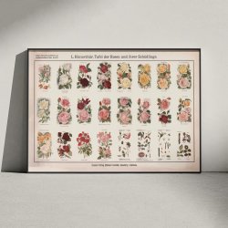 Roser og skadedyr 1909 - Botanik