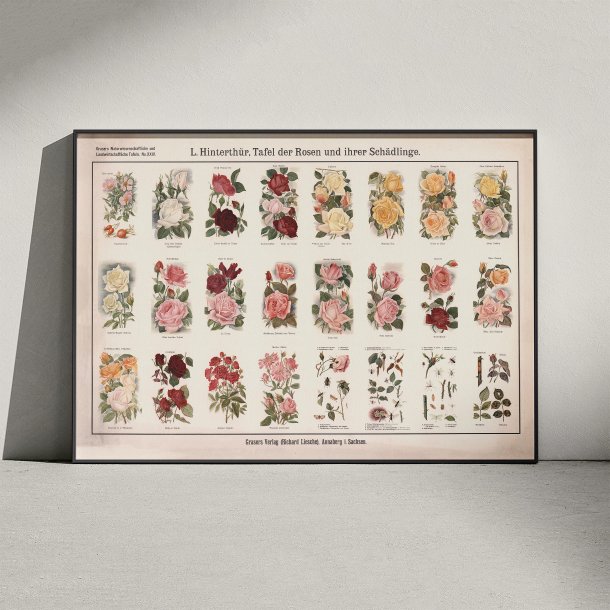 Roser og skadedyr 1909 - Botanik