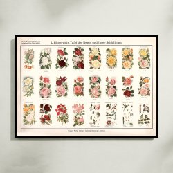 Roser og skadedyr 1909 - Botanik