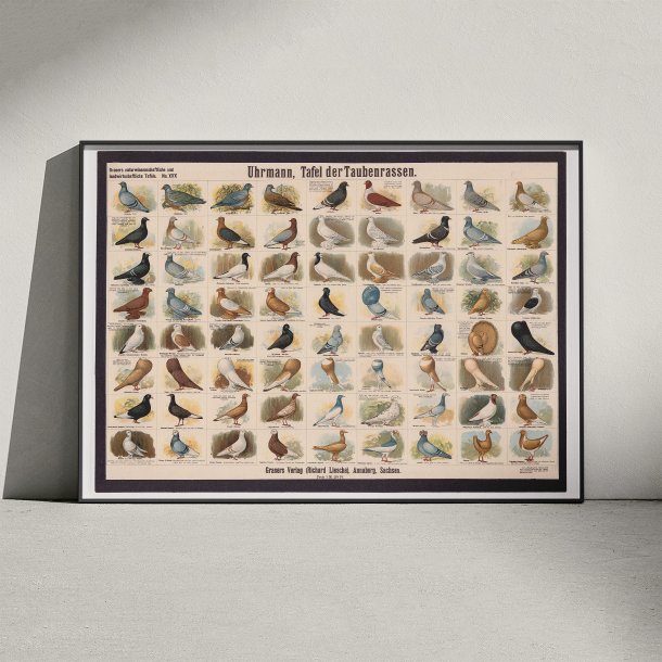 Dueracer 1910 - Biologi &amp; Zoologi