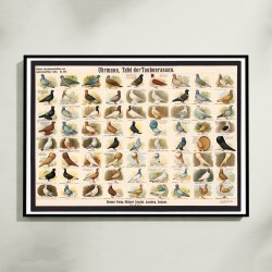 Dueracer 1910 - Biologi &amp; Zoologi