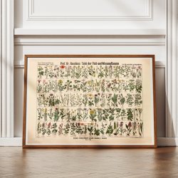 Mark- &amp; engplanter 1909 - Botanik