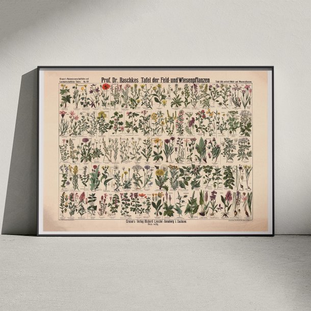 Mark- &amp; engplanter 1909 - Botanik