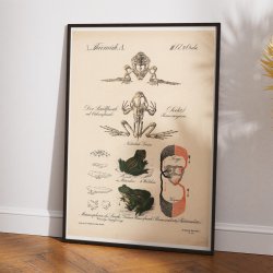 Frens udviklingsforlb 1870 - Zoologi