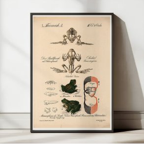 Frens udviklingsforlb 1870 - Zoologi