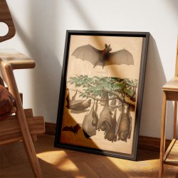 Flagermus, flyvende hund 1890 - Zoologi