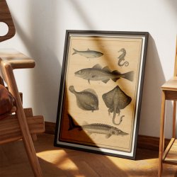 Torsk, str, fladfisk &amp; sild 1895 - Fisk