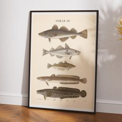 Fisketavle III 1939 - Zoologi