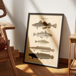 Fisketavle III 1939 - Zoologi