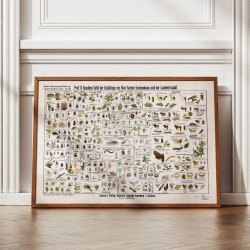 Skadedyr 1910 - Zoologi