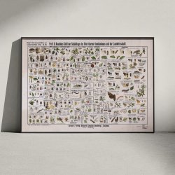 Skadedyr 1910 - Zoologi