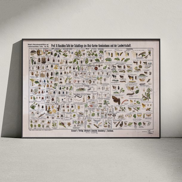 Skadedyr 1910 - Zoologi