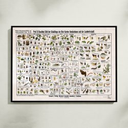 Skadedyr 1910 - Zoologi