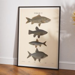 Fisketavle V 1939 - Zoologi