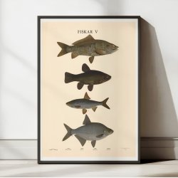 Fisketavle V 1939 - Zoologi