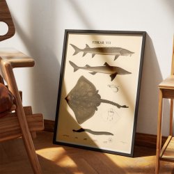 Fisketavle VII 1939 - Zoologi