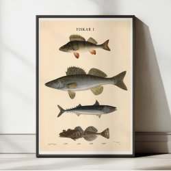 Fisketavle I 1939 - Zoologi