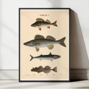 Fisketavle I 1939 - Zoologi